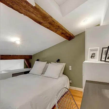 Les Relais Du Capitole - D'hotes Lejlighed Toulouse