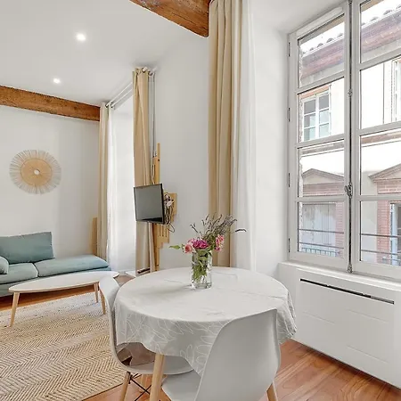 Les Relais Du Capitole - D'hotes Toulouse