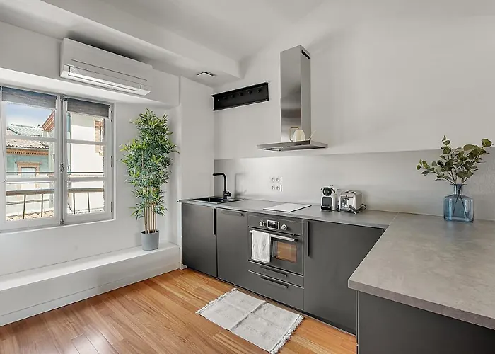 Les Relais Du Capitole - D'hotes Apartment Toulouse