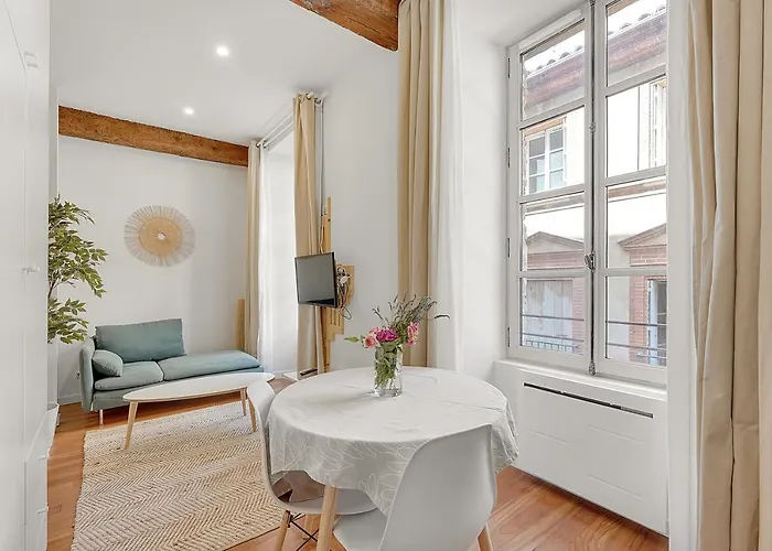 Les Relais Du Capitole - D'hotes Toulouse