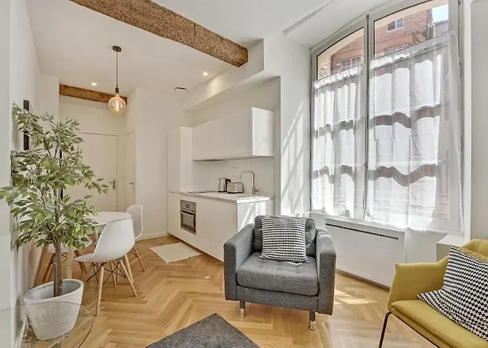 Les Relais Du Capitole - D'hotes Toulouse