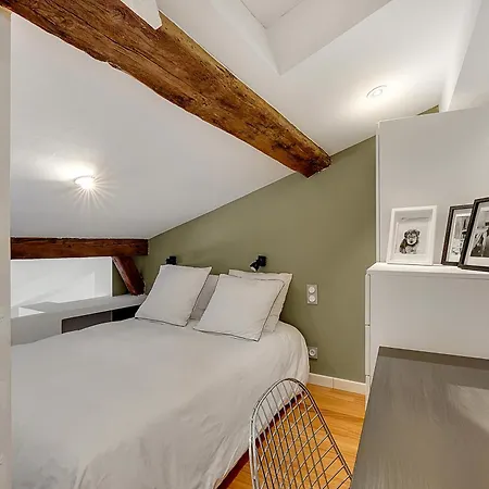 Les Relais Du Capitole - D'hotes * טולוז